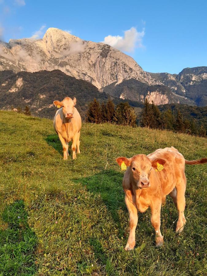 Tourist Farm Zvanc Кобарид Экстерьер фото